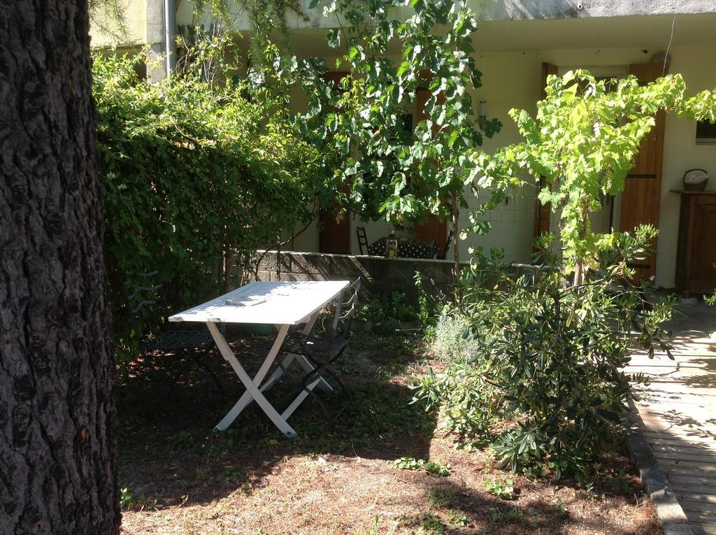 Maison Du Parc Hotel Avignon Bagian luar foto